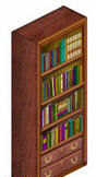 Книжный шкаф