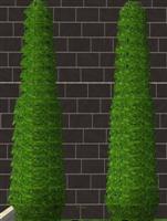 Обновления на сайте за 27 мая - 2 июня 2013 г. Обновления на сайте за 27 мая - 2 июня 2013 г.