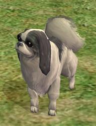 Обновления на сайте за 17 - 23 июня 2013 г. Обновления на сайте за 17 - 23 июня 2013 г.