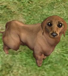 Обновления на сайте за 17 - 23 июня 2013 г. Обновления на сайте за 17 - 23 июня 2013 г.