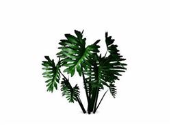 Обновления на сайте за 21-31 января 2013 г.