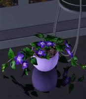 Обновления на сайте за 30 декабря 2013 г - 19 января 2014 г