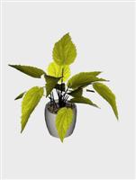 Обновления на сайте за 30 декабря 2013 г - 19 января 2014 г