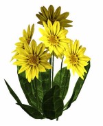 Обновления на сайте за 11 - 31 августа 2014 г.