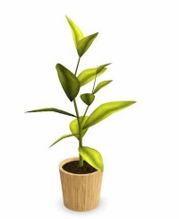 Обновления на сайте за 20 июля - 2 августа 2015 г.