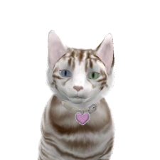 Обновления на сайте за 8-14 апреля 2013 г.