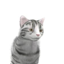 Обновления на сайте за 15 - 21 июля 2013 г.