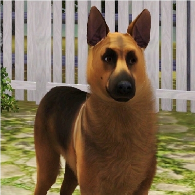 Обновления на сайте за 16 - 31 июля 2019 г.