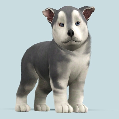 Обновления на сайте за 16 - 29 февраля 2020 г.