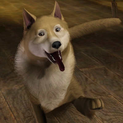 Обновления на сайте за 16 - 31 августа 2020 г.