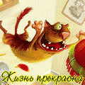 Аватара пользователя