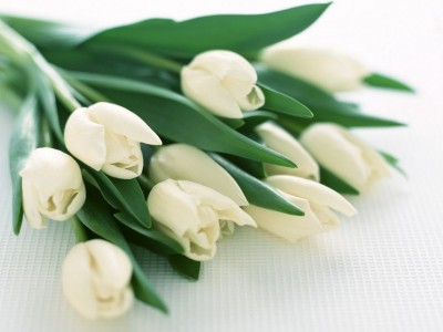 8march.jpg