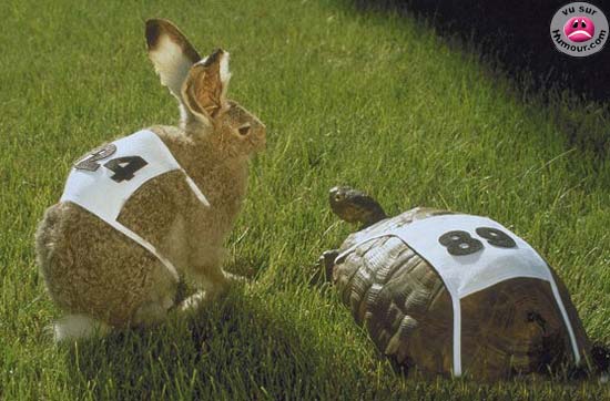 2lievre_tortue.jpg