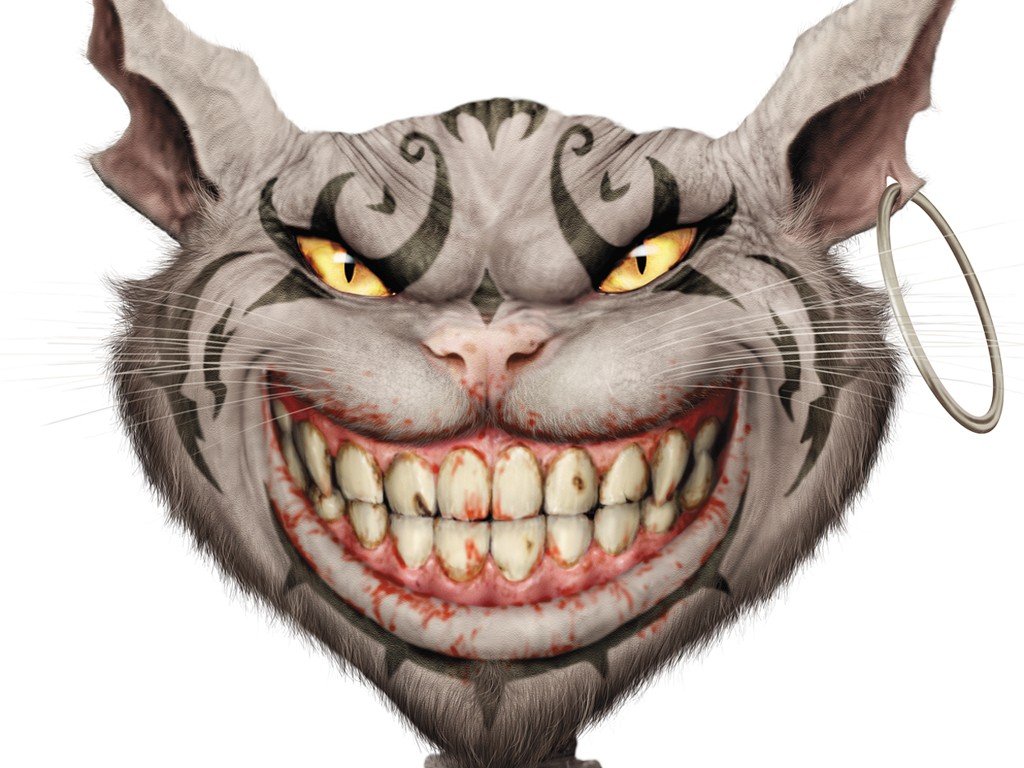 mad_cat.jpg