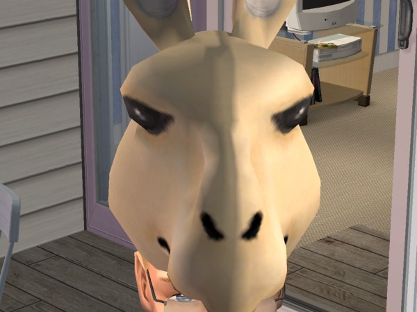snapshot_8e9c86da_0e9dcd48.jpg