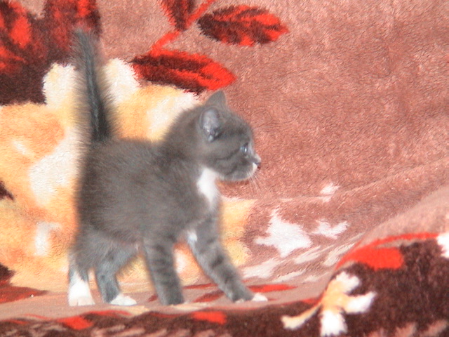 DSC00536.JPG
