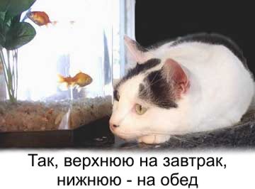 0988191.jpg