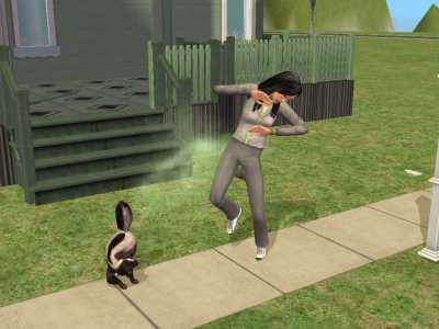 snapshot_742bb172_d42bec8c.jpg
