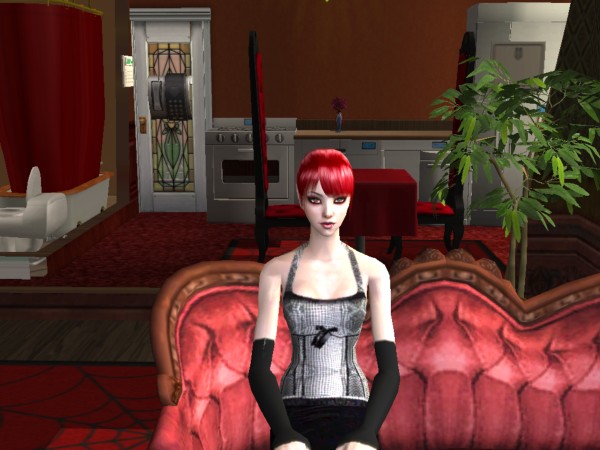 snapshot_d5287338_75287a85.jpg
