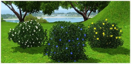 Обновление в The Sims 3 Store (16 августа)