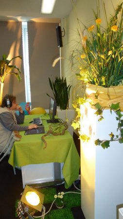 Фотографии с презентации The Sims 3 Времена года в Германии