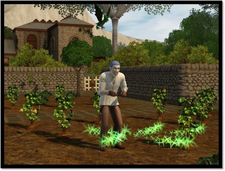 Зеленые дракончики: искатели сокровищ и непревзойденные садоводы