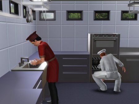 The Sims 3 Бизнес в The Sims 3 Store?