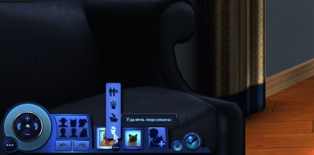 Подселение питомца