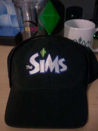 Празднование 14-летия The Sims в EA Studios