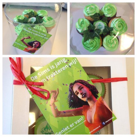 Празднование 14-летия The Sims в EA Studios