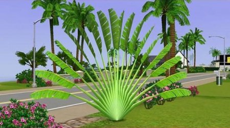 Набор пальм для The Sims 3