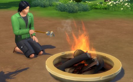 Руководство по коллекционированию насекомых в Гранит Фоллз