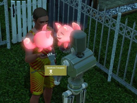 Цифровые питомцы в The Sims 3