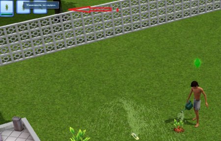 Хрустальные цветы в The Sims 3