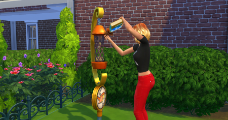 Обзор каталога "The Sims 4 На заднем дворе"