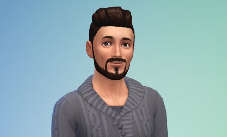 В центре внимания — SimGuru: SimGuruNinja