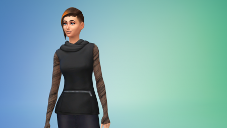 Обзор каталога "The Sims 4 Фитнес"