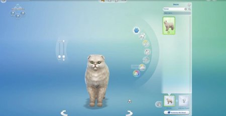 45 новых скриншотов из режима создания питомцев в дополнении "The Sims 4 Кошки и собаки"