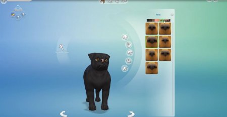 45 новых скриншотов из режима создания питомцев в дополнении "The Sims 4 Кошки и собаки"