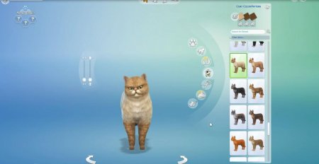 45 новых скриншотов из режима создания питомцев в дополнении "The Sims 4 Кошки и собаки"