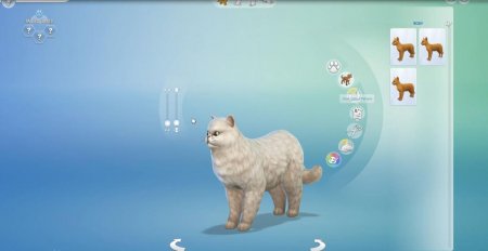 45 новых скриншотов из режима создания питомцев в дополнении "The Sims 4 Кошки и собаки"