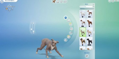 45 новых скриншотов из режима создания питомцев в дополнении "The Sims 4 Кошки и собаки"