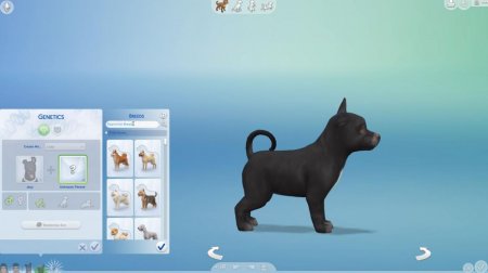 45 новых скриншотов из режима создания питомцев в дополнении "The Sims 4 Кошки и собаки"