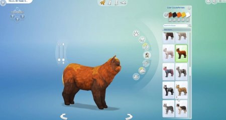 45 новых скриншотов из режима создания питомцев в дополнении "The Sims 4 Кошки и собаки"