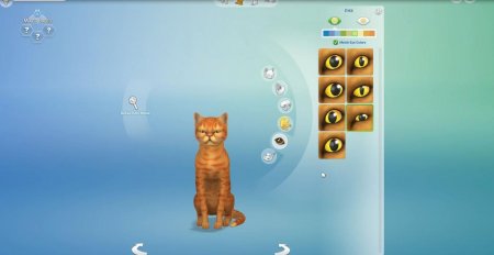 45 новых скриншотов из режима создания питомцев в дополнении "The Sims 4 Кошки и собаки"
