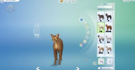 45 новых скриншотов из режима создания питомцев в дополнении "The Sims 4 Кошки и собаки"