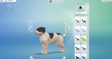 45 новых скриншотов из режима создания питомцев в дополнении "The Sims 4 Кошки и собаки"