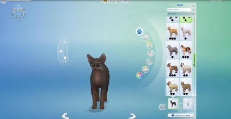 45 новых скриншотов из режима создания питомцев в дополнении "The Sims 4 Кошки и собаки"