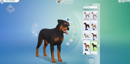 45 новых скриншотов из режима создания питомцев в дополнении "The Sims 4 Кошки и собаки"