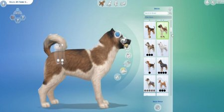 45 новых скриншотов из режима создания питомцев в дополнении "The Sims 4 Кошки и собаки"